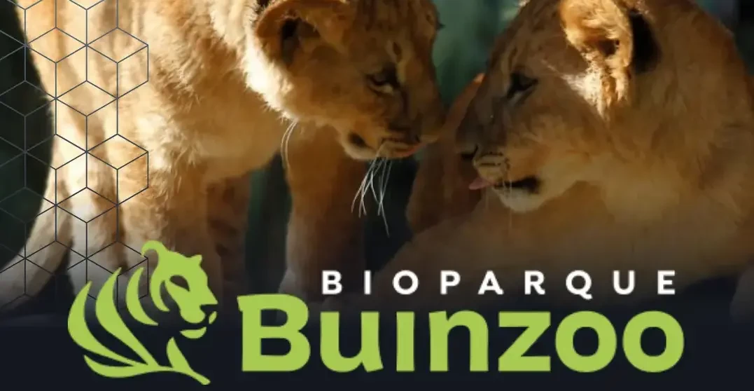 Parque Zoológico Buin Zoo