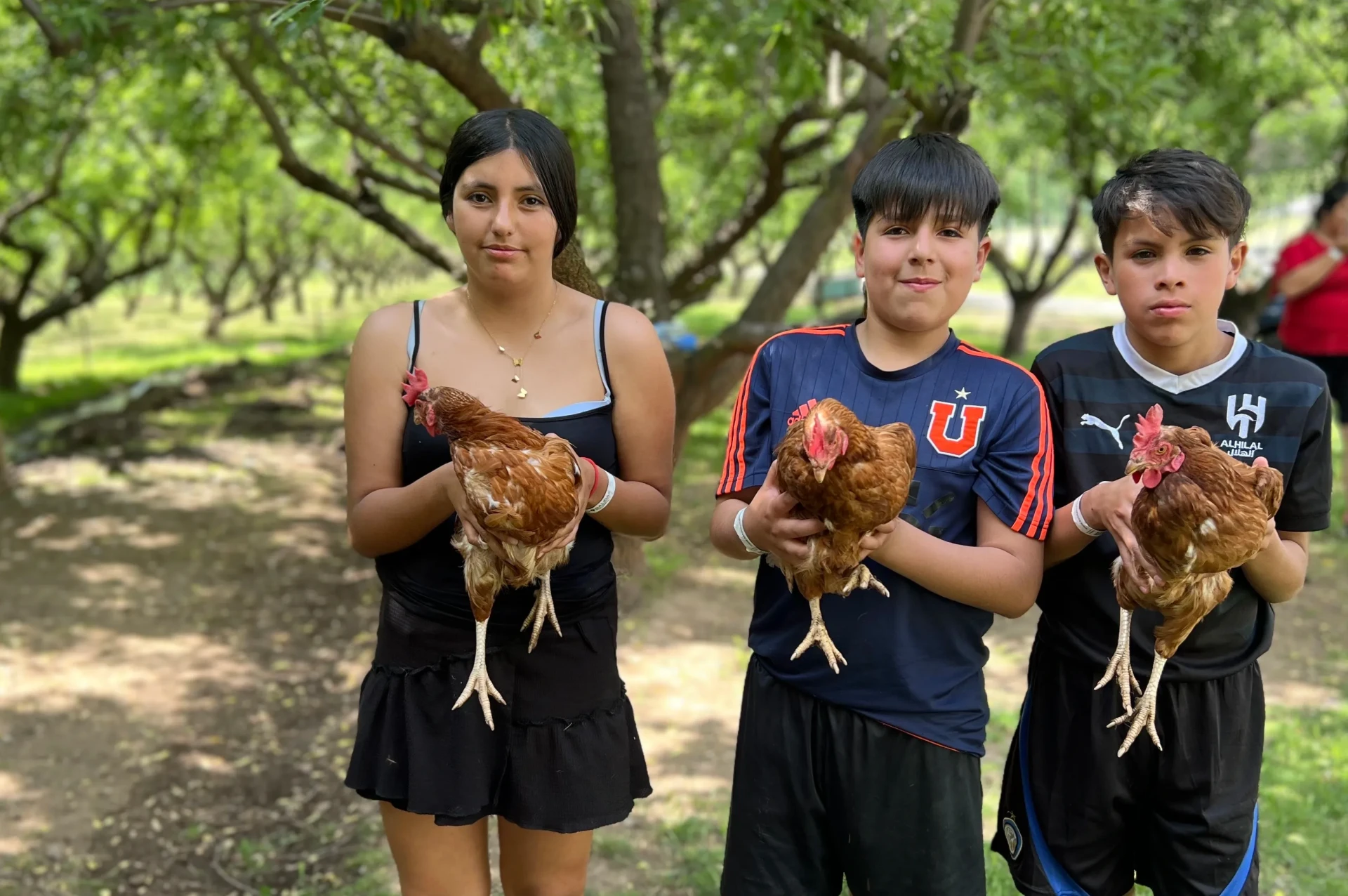 Granja Kitrawe Campo Vivo