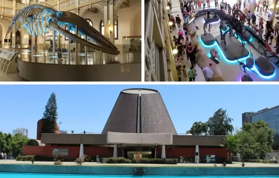 Museo Historia Natural y Planetario